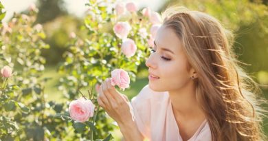 Voici les fleurs odorantes à planter dans votre jardin pour profiter de leurs parfums délicats