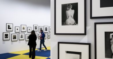 Photo Elysée: Man Ray entre portraits et expérimentations