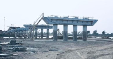 Le pont reliant le Cameroun au Tchad sur le fleuve Logone approche de son achèvement