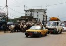 Le gouverneur interdit la divagation des bœufs suite au décès tragique d’un moto-taximan tentant d’éviter un troupeau