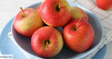 Flan aux pommes protéiné : une diététicienne dévoile sa recette saine et rassasiante