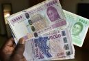 Sortie du franc CFA : les pays du Sahel vers une monnaie commune, selon un analyste malien