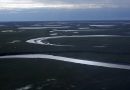 Vaste zone de l’Alaska protégée: limiter l’exploitation pétrolière