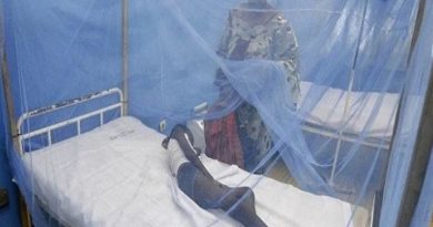 Le Cameroun parmi les 11 pays les plus touchés par le paludisme