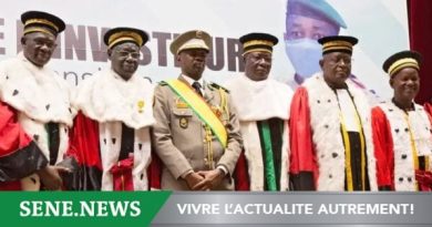 La Cour Constitutionnelle se dit « incompétente » face à la suspension des partis politiques au Mali