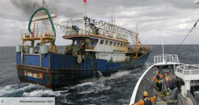 Suspension des immatriculations des navires : le Cameroun lutte contre les « navires fantômes »