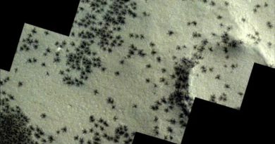 C’est quoi ces mystérieuses photos d’araignées prises sur Mars par l’agence spatiale européenne ?
