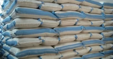 Le gouvernement camerounais annonce une baisse des prix du riz pour lutter contre la cherté de vie