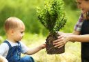 Voici pourquoi les bébés ont peur de toucher les plantes du jardin, selon ces scientifiques