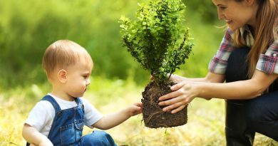 Voici pourquoi les bébés ont peur de toucher les plantes du jardin, selon ces scientifiques