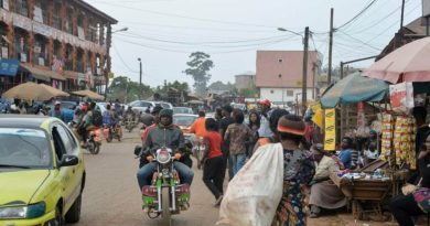 Bamenda : arrestation de 27 suspects dans une opération antidrogue