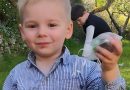 Le petit Emile retrouvé mort : ce détail sur les vêtements du garçon pourrait confirmer l’intervention d’un tiers